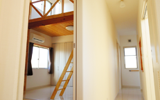 ヤドカリプラン